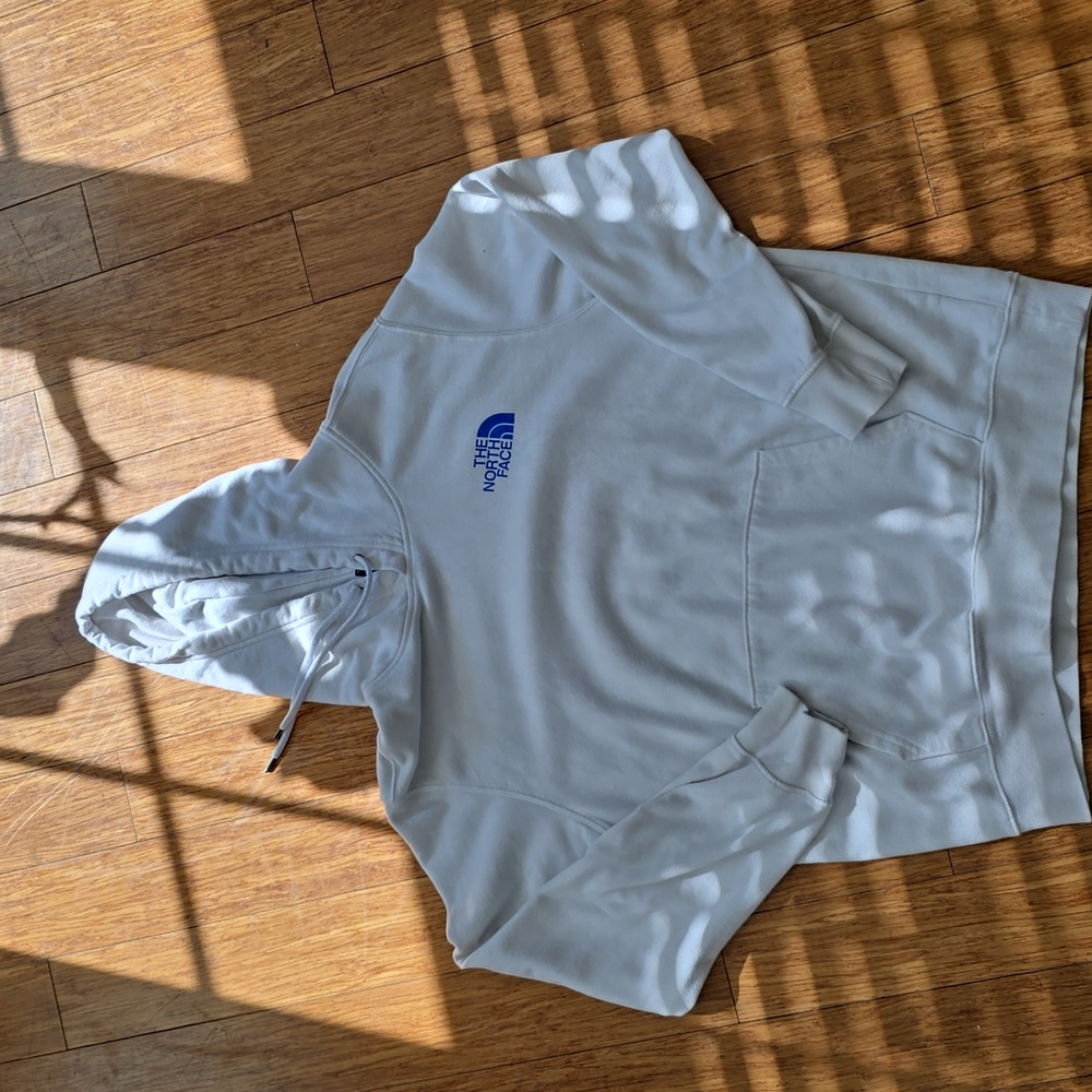 The north face hoodie